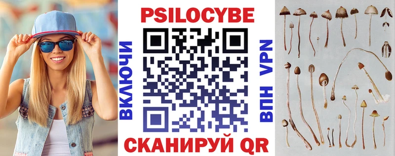 закладки  Абинск  Псилоцибиновые грибы Cubensis 