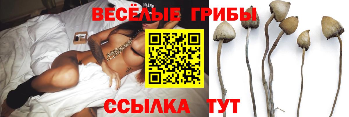 Галлюциногенные грибы прущие грибы  Вход с VPN  Абинск 